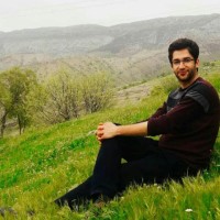 Mohammad Taghian