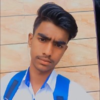 I Am Program Bro
