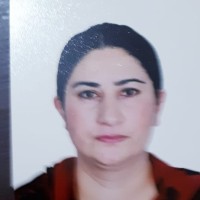 Saima Anees