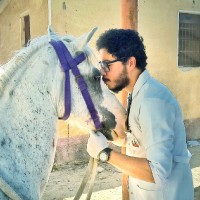 Dr Ahmed Elhadad