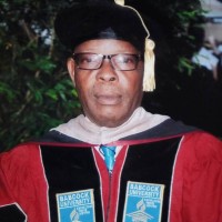 Dr. Williams Akerejola