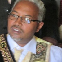 Samson Biru