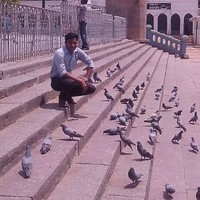 Vijay Kushwaha