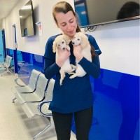 Noemi Laura Vincze-Vass