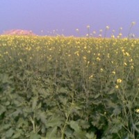 Hast Ram Meena