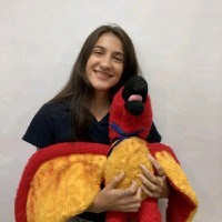 Alice Cibelly Lopes Carneiro