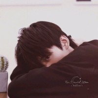 张晓叶