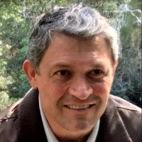 Lincoln Demario