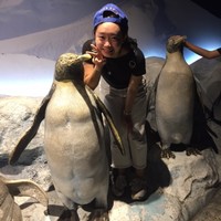 刘天凤