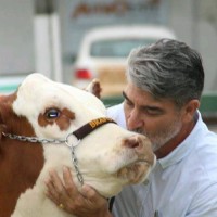 Mauricio Negreiros Velloso