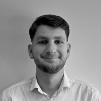 Nikolai Gibbins