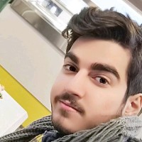 Mohammad Ghavidel