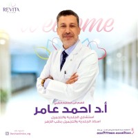 Ahmed Amerr