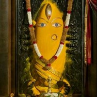 N Surendra