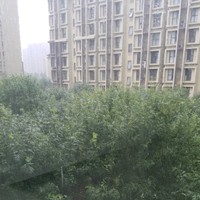 张燕青