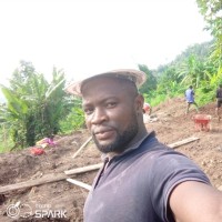 Enow Arrey Samuel Ako