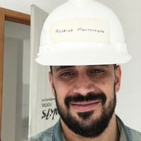 Rodrigo Paranhos Montenegro