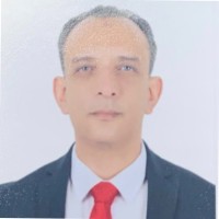 Hesham Mousa
