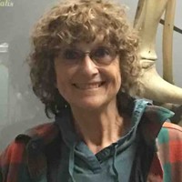 Beverly Veyna MSN MHA RN WCC