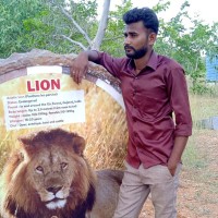 G satheesh Kumar