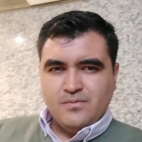 Luis Manuel Carbajal Millán