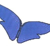 Maria Vilma Chiorlin