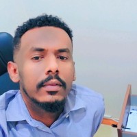 husam eldin