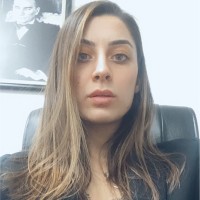 Cansu Ergin