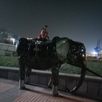 郭宝刚