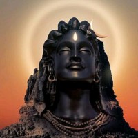 Shiva Tiwari