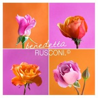 Benedetta Rusconi