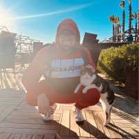 Wojciech Strzalkowski