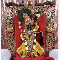 Ashok Patadiya