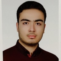 Amirhossein Bargharari