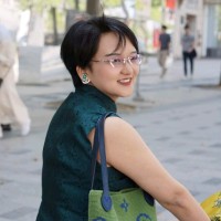 Yin Fei