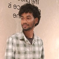 Vigneshwaran N
