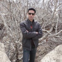 Amir Roghani