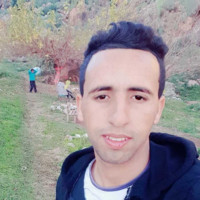 Hamid Ousri