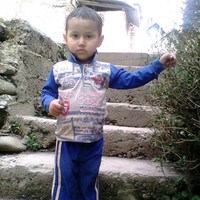 Raja Ms