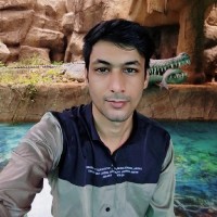 Hitesh Jangid