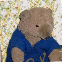 Calvin P Bear