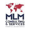 MLM Consulting and Services