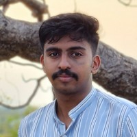 Bibin P Daniel