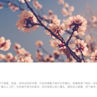 鲁正强