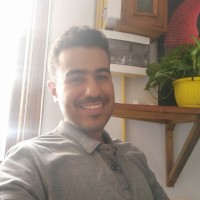 Mostafa Mohamed Elgabrony