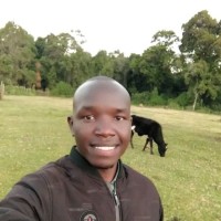 Emmanuel Limo
