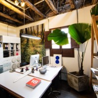 Bosque Arquitectura