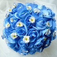 Maria da Consolação Andre