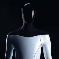 Bonobo Creativos Marketing Team