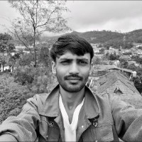 Vivek Rakholiya